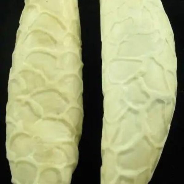 White Cobra Pearls - Type C2 (Female) - Image 2