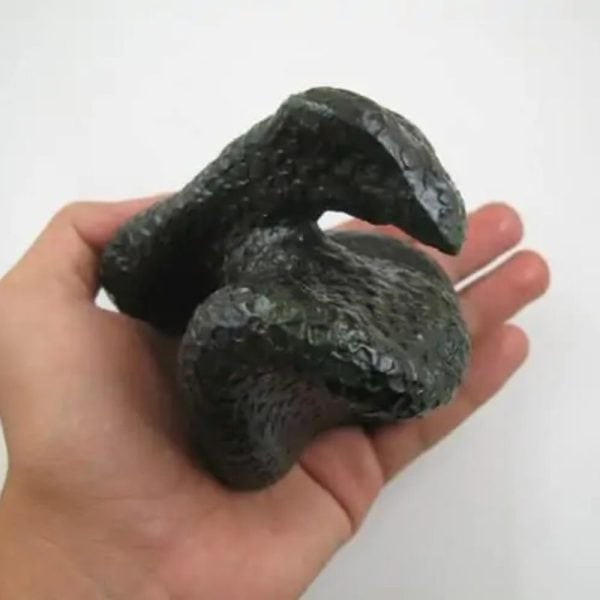 Snake Fossil - SF 42