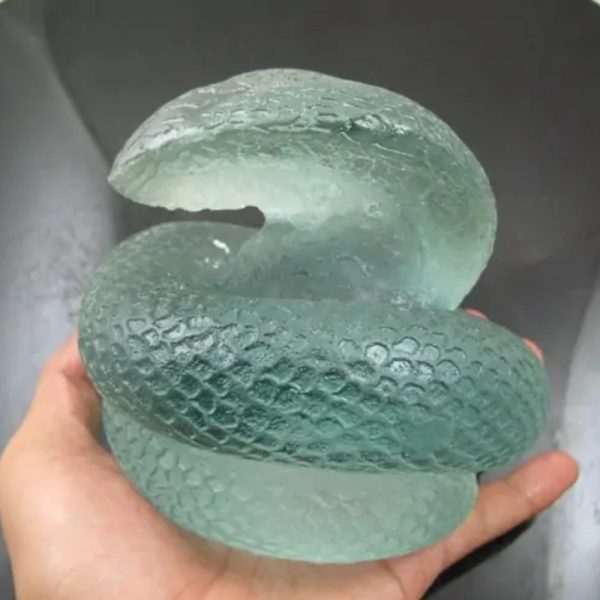 Snake Fossil - SF 84 (Crystal)