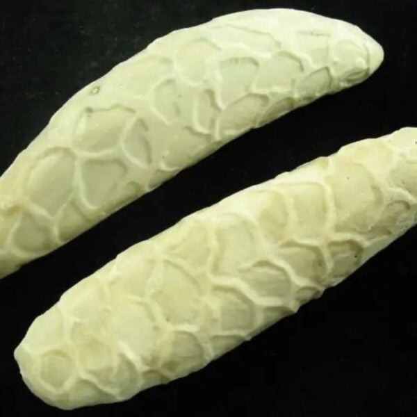 Magical White Cobra Pearls Type C2