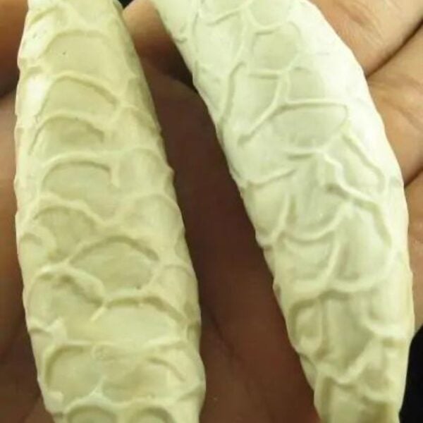 White Cobra Pearls Type C2