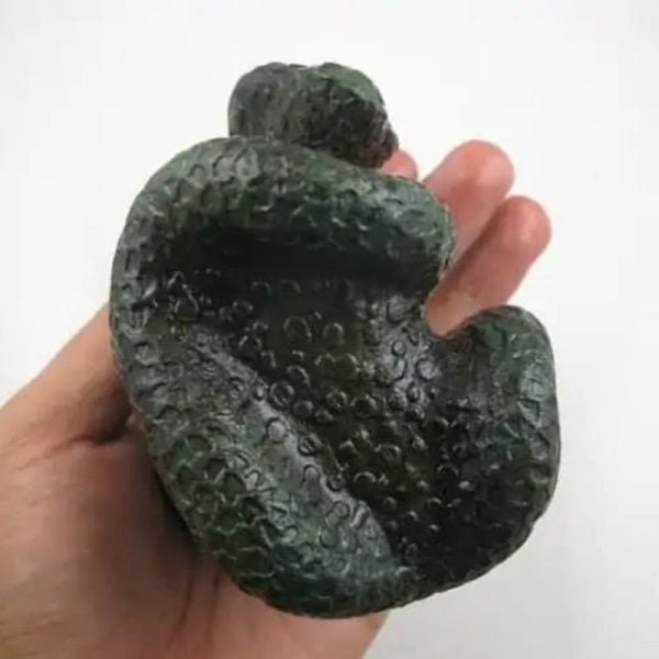 Snake Fossil - SF 42
