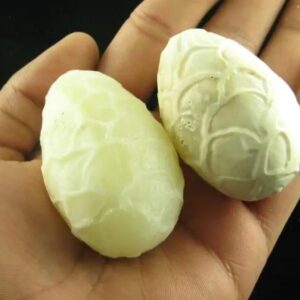 White Cobra Pearls - Type C3 in hand