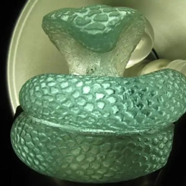 Snake Fossil - SF 84 (Crystal)