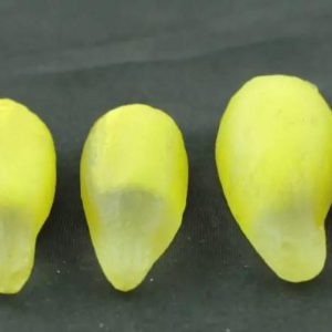 Kantil Flower Pearls - Type B1
