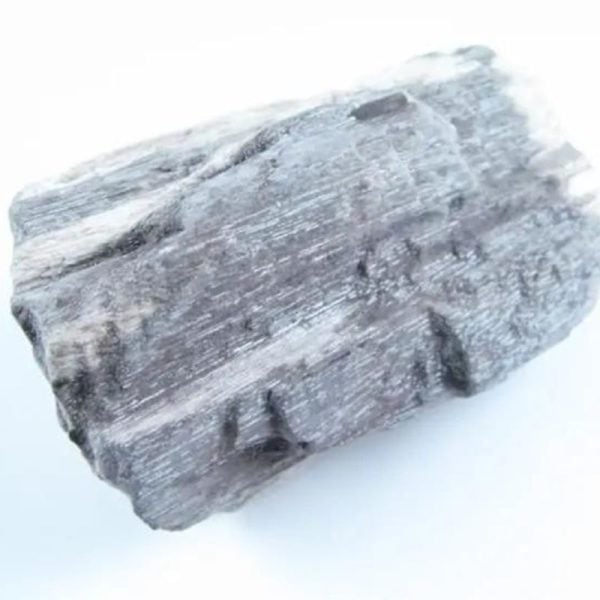 Menang Wood Fossil - Type A4 - Image 5