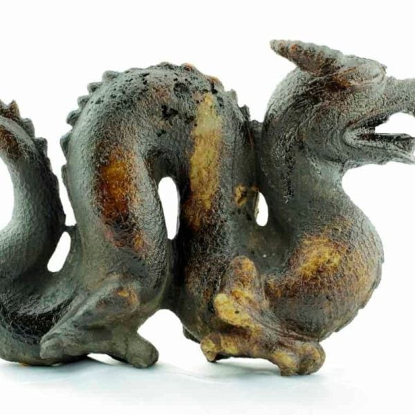 Fossilized Ancient Chinese Dragon - Image 6