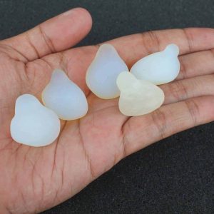 Mountain Snake Crown Pearl - Type B1