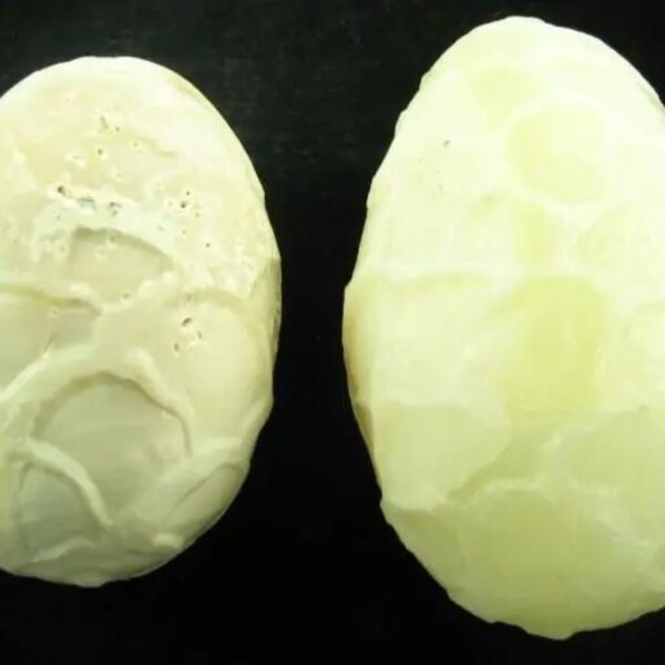 Two White Cobra Pearls - Type C3