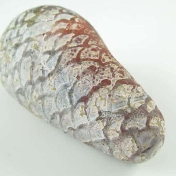 Red Cobra Pearl - Type D3 (Female) Large
