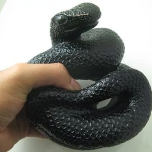 Snake Fossil - SF 49 (Crystal)