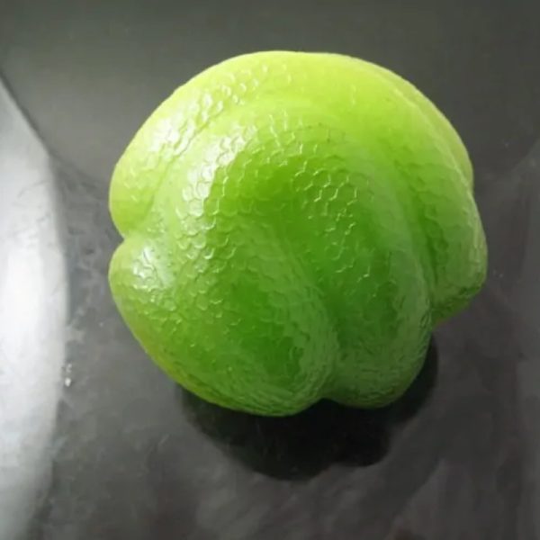 Snake Fossil - SF 92 (Kumala Crystal)