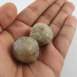 Viper Snake Pearls - Type A3 in hand