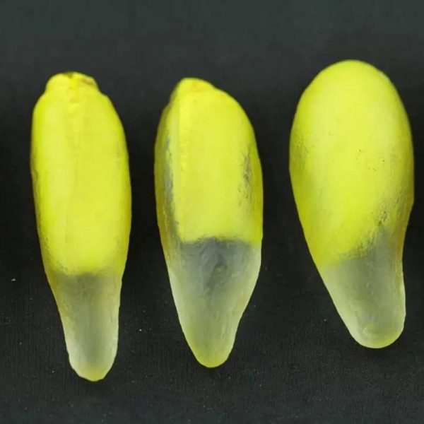 Kantil Flower Pearls - Type B1 - Image 2