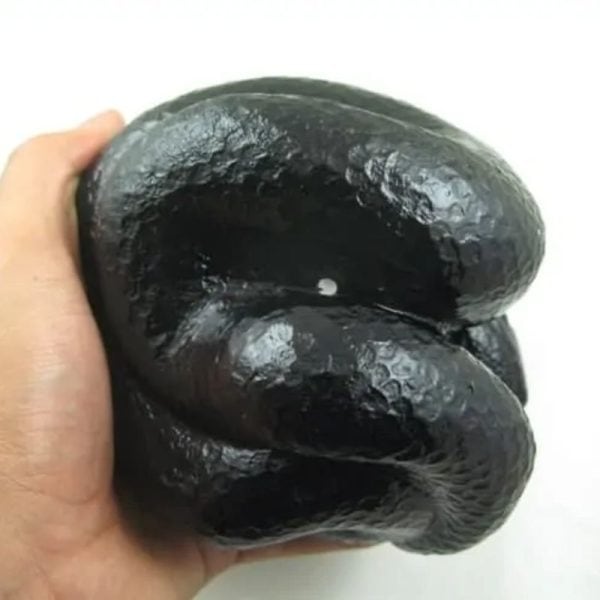 Snake Fossil - SF 48 (Crystal)