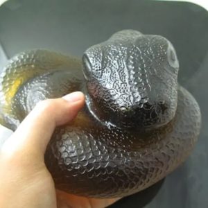 Snake Fossil - SF 91 (Crystal)