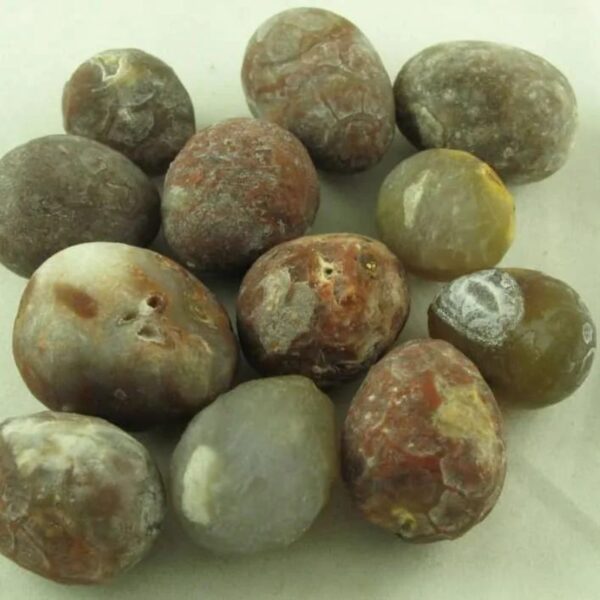 Spitting Cobra Pearls - Type A