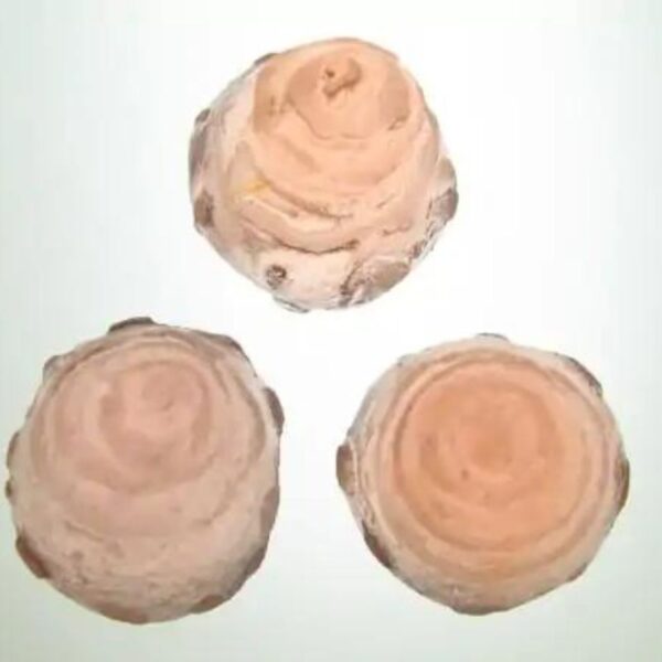 Red Cobra Crowns - Type B - Image 6