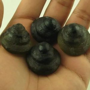 Python Crown Pearls - Type F4 in hand