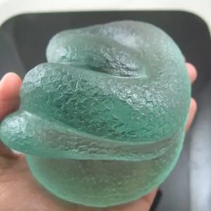 Snake Fossil - SF 66 (Crystal)