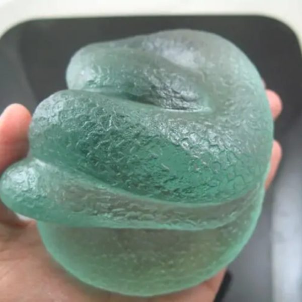 Snake Fossil - SF 66 (Crystal)