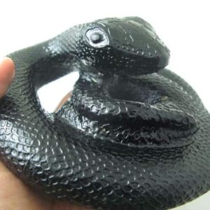 Snake Fossil - SF 51 (Crystal)