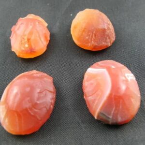 Red Cobra Crowns - Type A