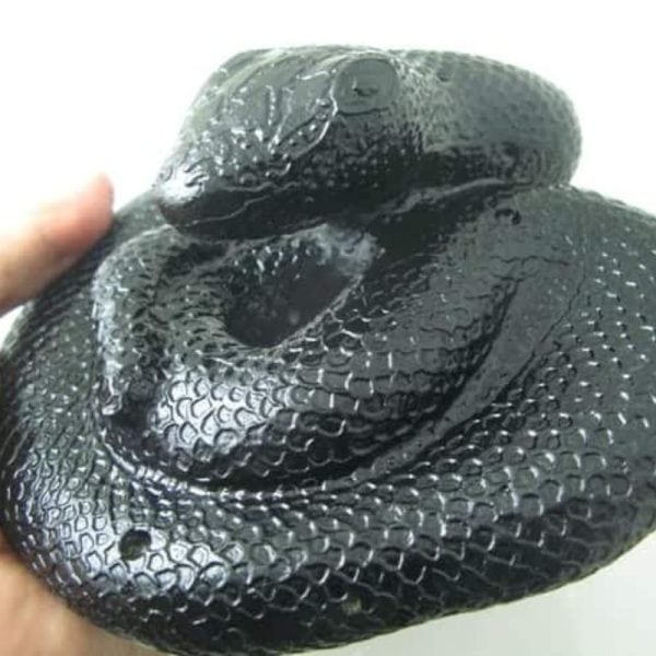 Snake Fossil - SF 51 (Crystal) - Image 5