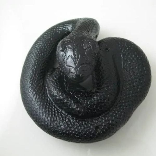 Snake Fossil - SF 51 (Crystal) - Image 4