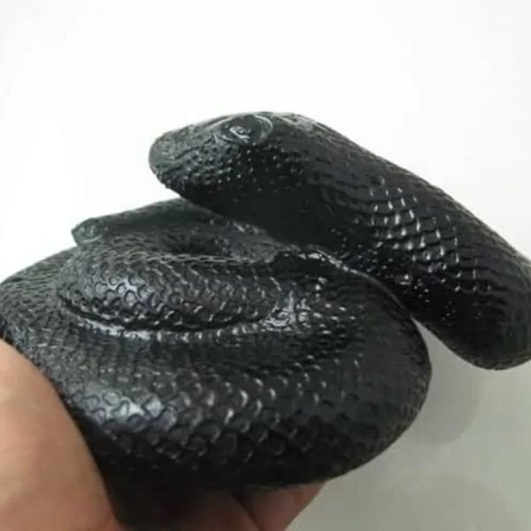 Snake Fossil - SF 51 (Crystal) - Image 3