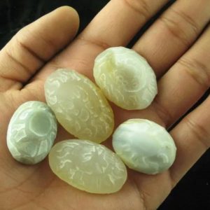 Python Snake Crown Pearl – Type A3 in hand