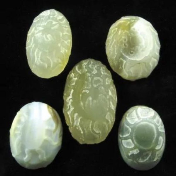 Python Snake Crown Pearl – Type A3