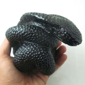 Snake Fossil - SF 52 (Crystal)