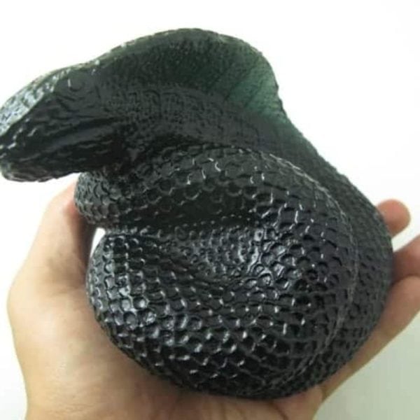 Snake Fossil - SF 52 (Crystal) - Image 5