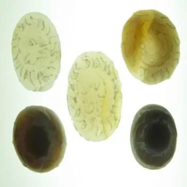 Python Snake Crown Pearl – Type A3