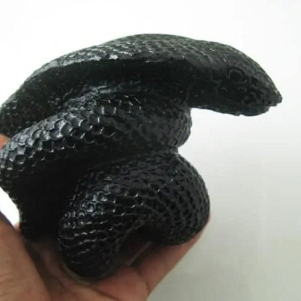 Snake Fossil - SF 52 (Crystal) - Image 4