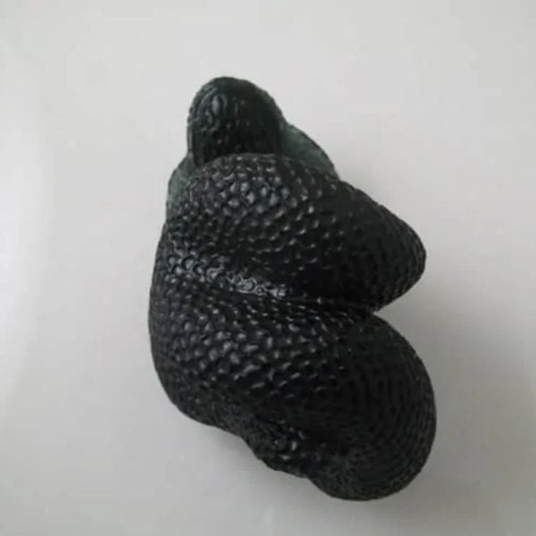 Snake Fossil - SF 52 (Crystal) - Image 3