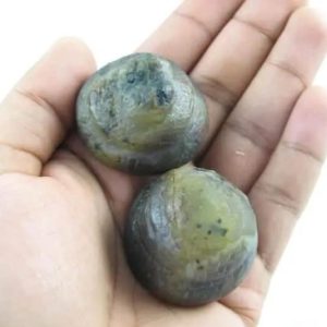 Python Crown Pearls - Type D1 (Mini) in hand