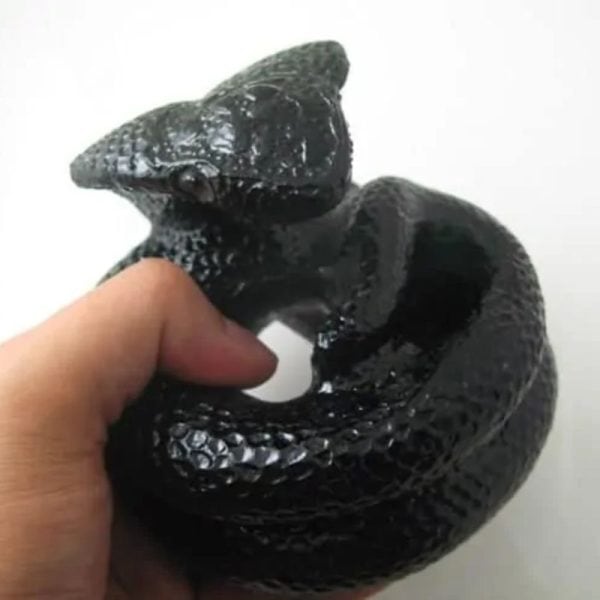 Snake Fossil - SF 53 (Crystal)