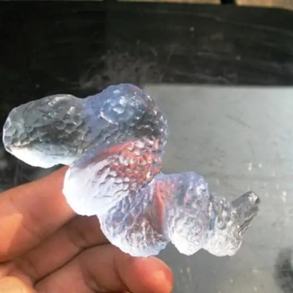 Crystal Snake Fossil - CS 9