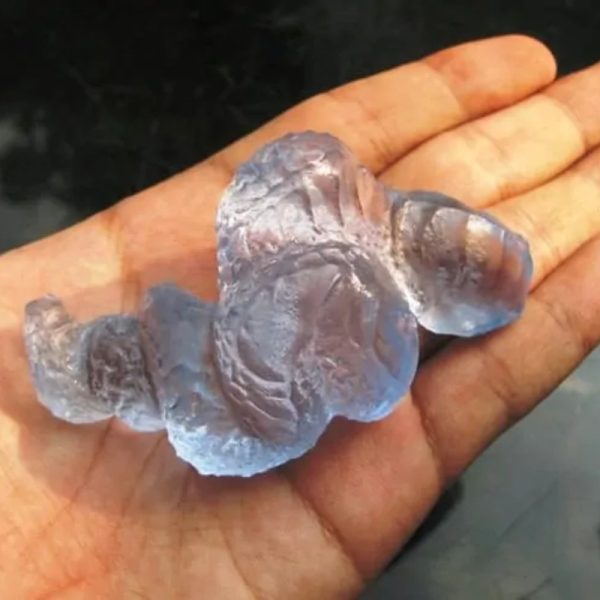 Crystal Snake Fossil - CS 9