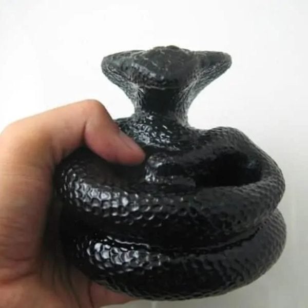 Snake Fossil - SF 53 (Crystal)