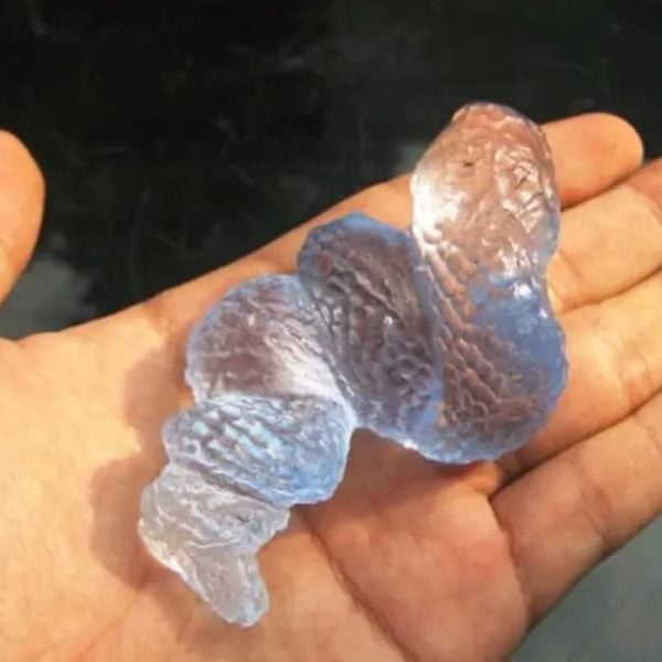 Crystal Snake Fossil - CS 9