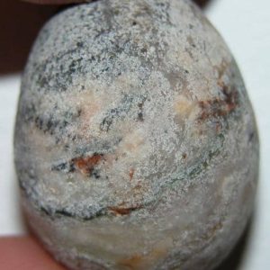 Python Pearl – Type A