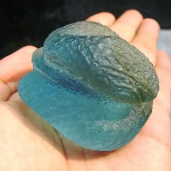 Crystal Snake Fossil - CS 6
