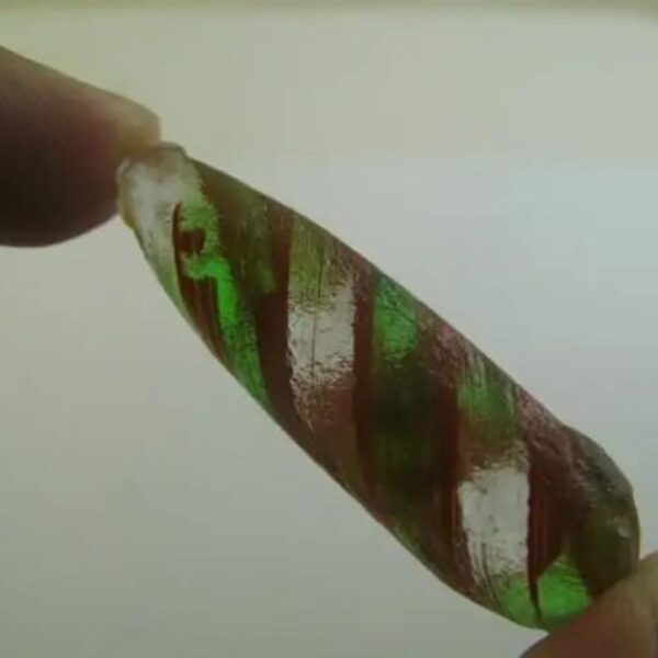 Red Cobra Pearl - Type G1 (Male) - Image 3