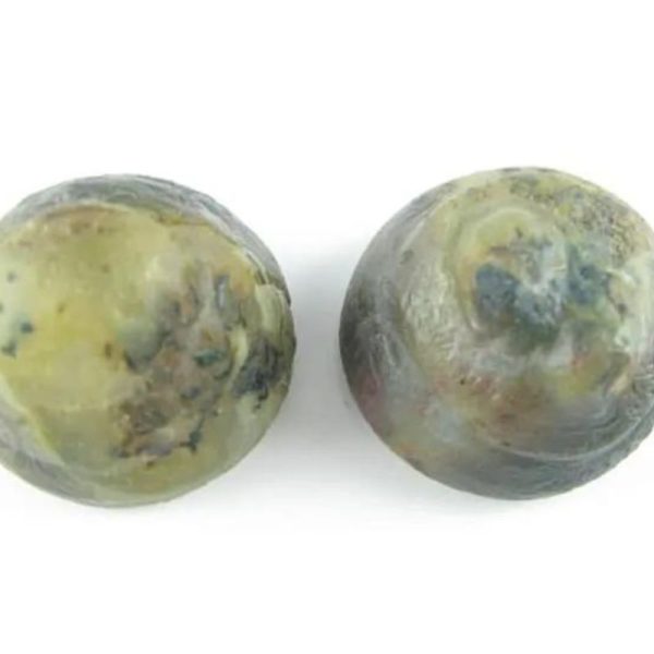 Python Crown Pearls - Type D1 (Mini)