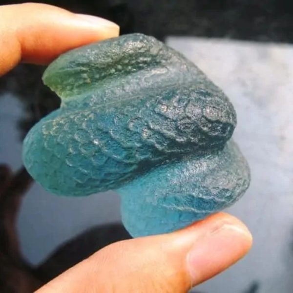 Crystal Snake Fossil - CS 6