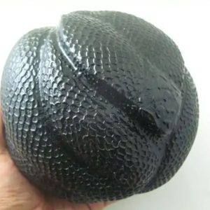 Snake Fossil - SF 57