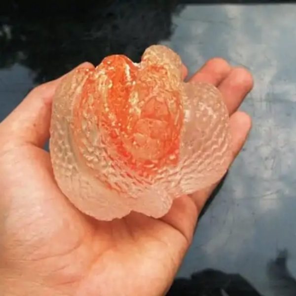 Crystal Snake Fossil - CS 15 - Glow in the Dark